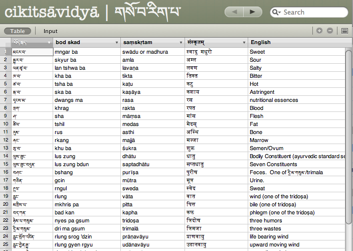 Glossary